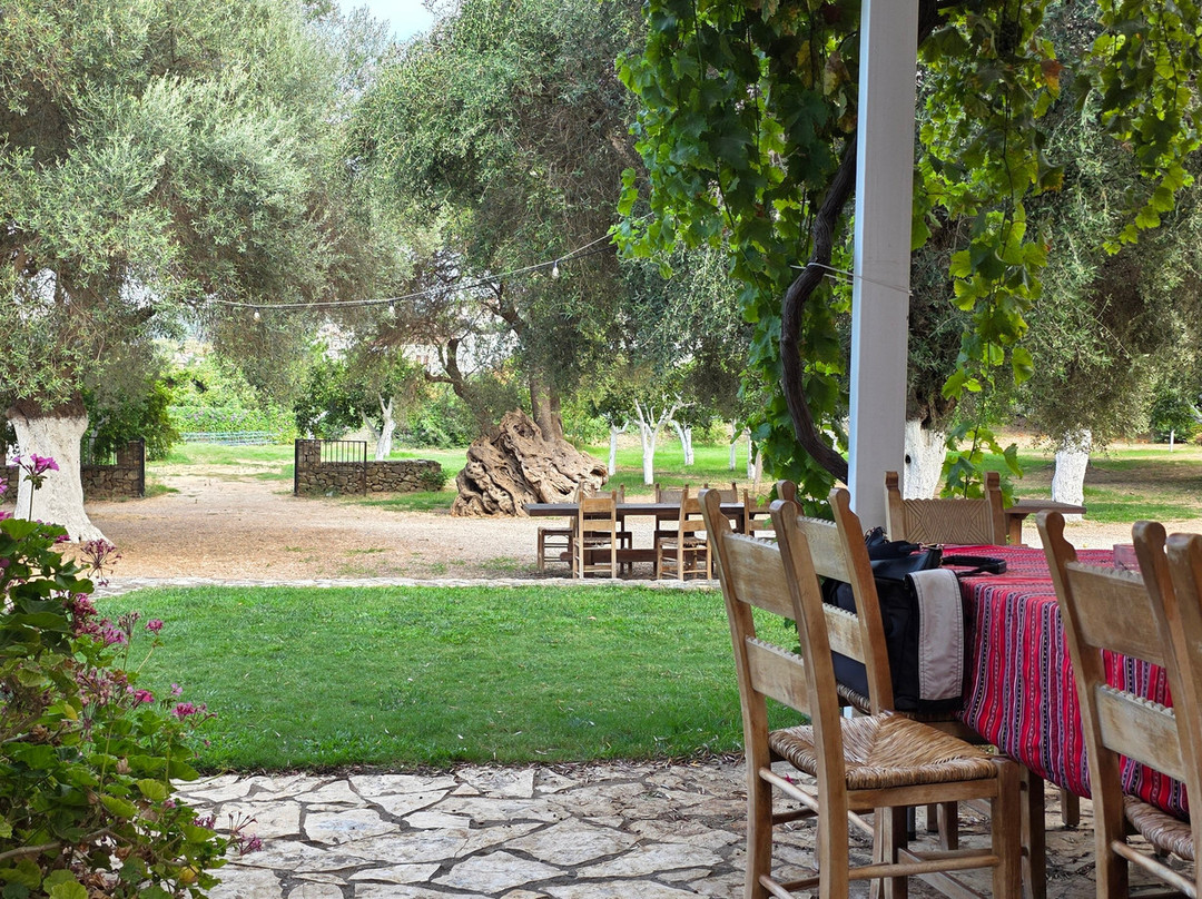 Manousakis Winery-Vatolakkos必去景点