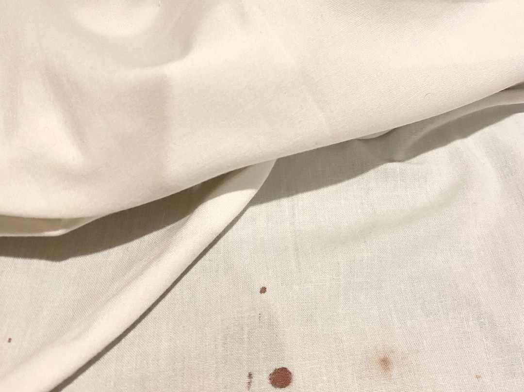 莱德萨尔普美居酒店主图