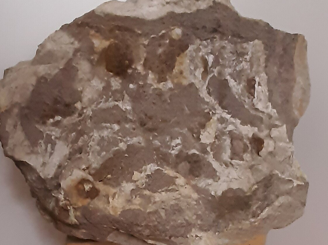 Polo Museale Cave del Predil-Cave del Predil必去景点