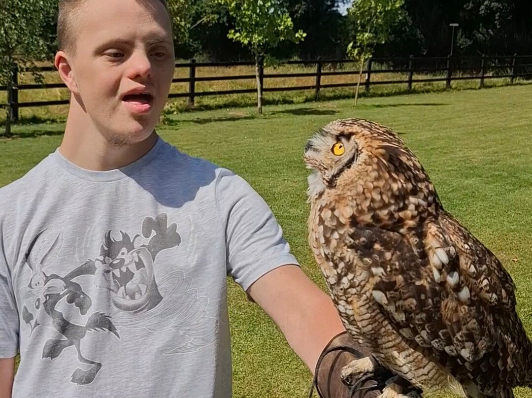 Falconry Kerry-基拉尼必去景点