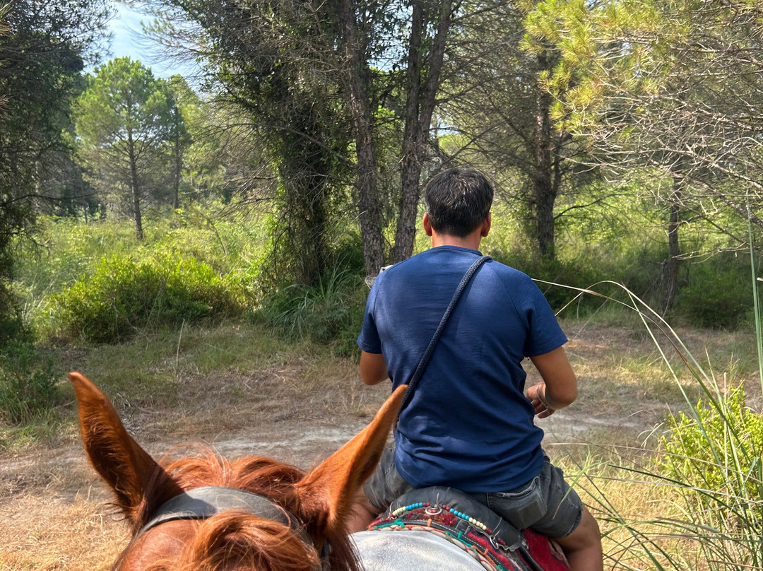 Belek Safari | Horse Riding Tour-Kumkoy必去景点
