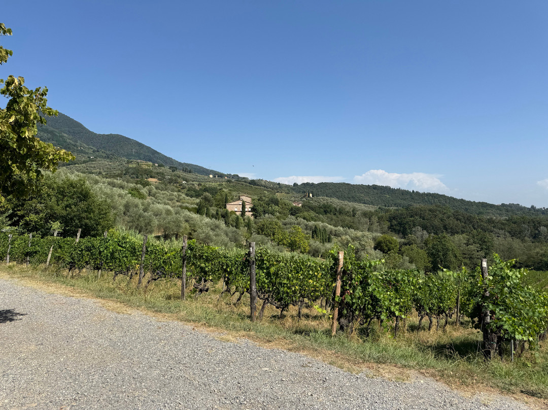 Fattoria Colle Verde-Matraia必去景点