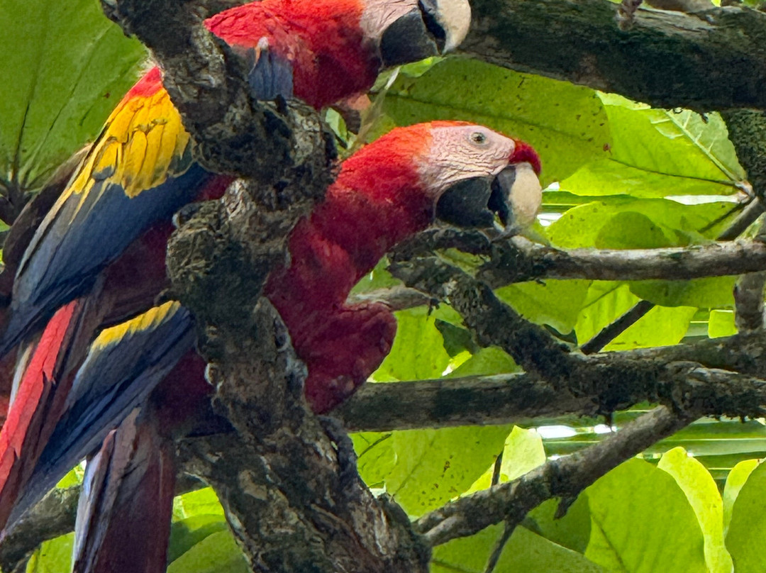 My Costa Rica-圣何塞必去景点