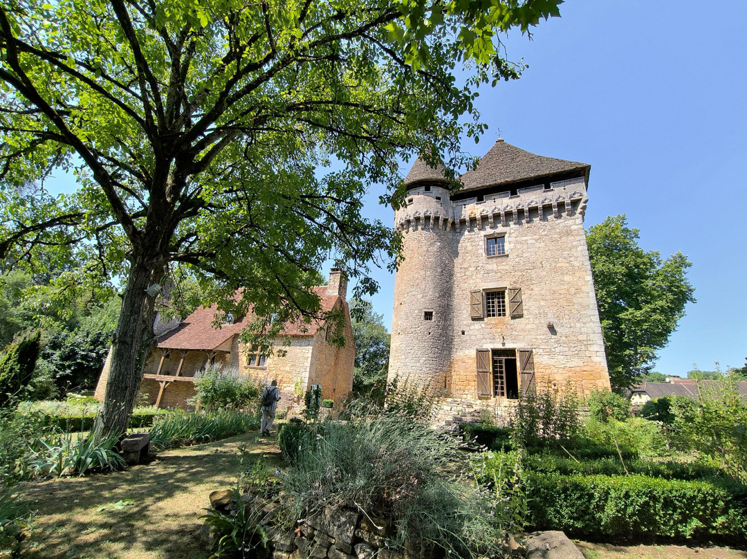 Donjon Et Manoir De La Salle