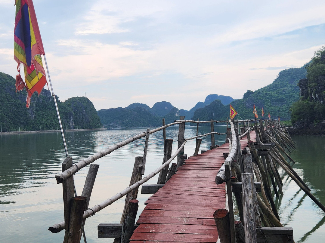 KingCong Travel-Cat Ba Town必去景点