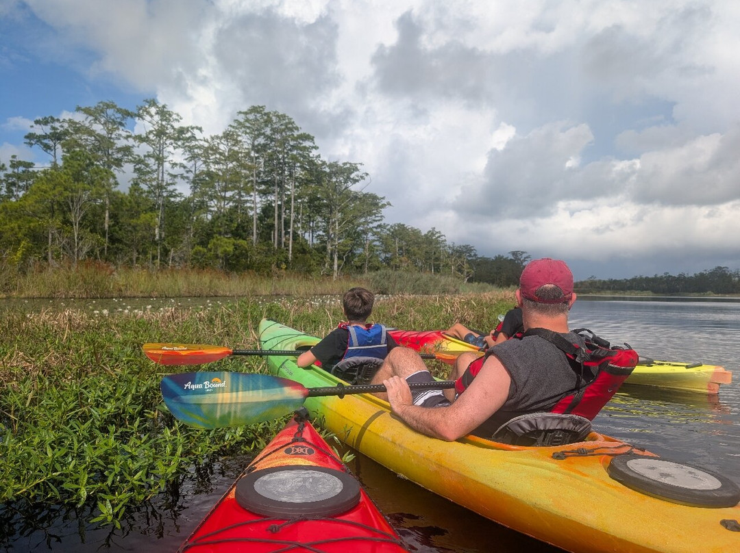 Coastal Kayak Touring Company-Duck必去景点
