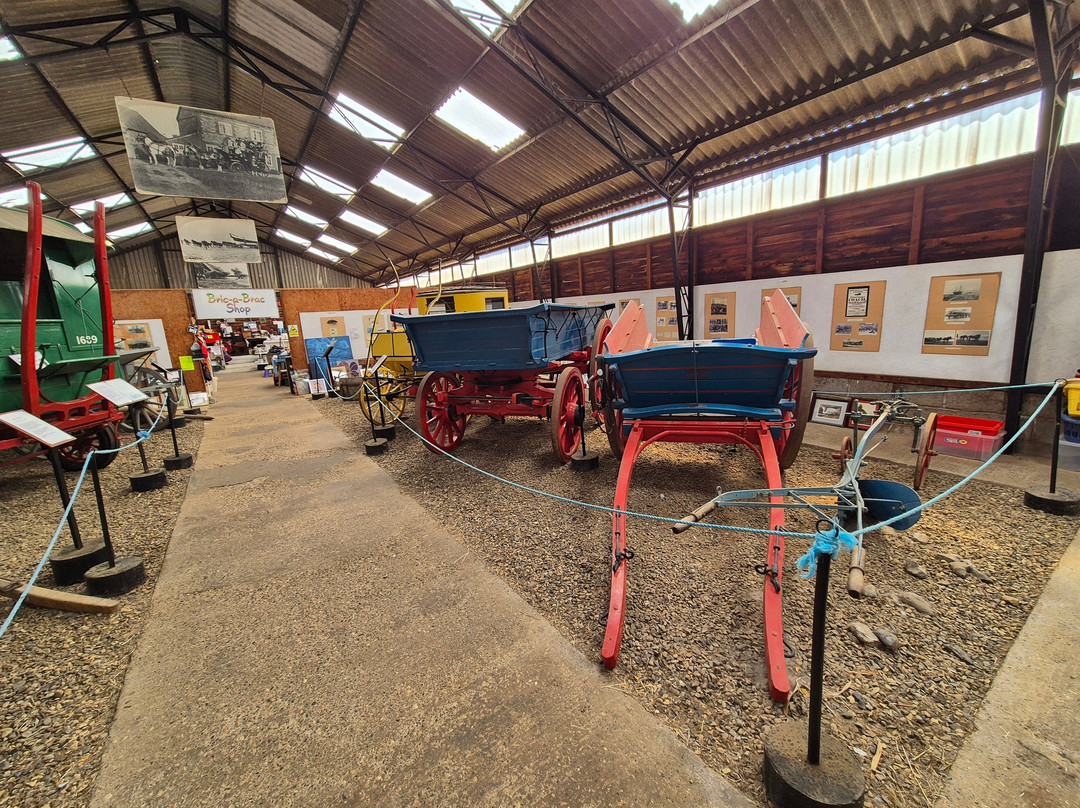 Hillside Shire Horse Sanctuary-West Runton必去景点