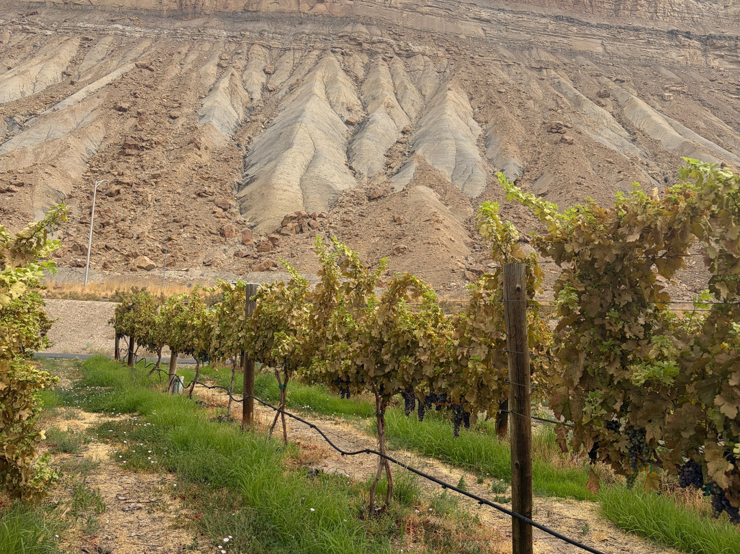 Grande River Vineyards & Winery-Palisade必去景点
