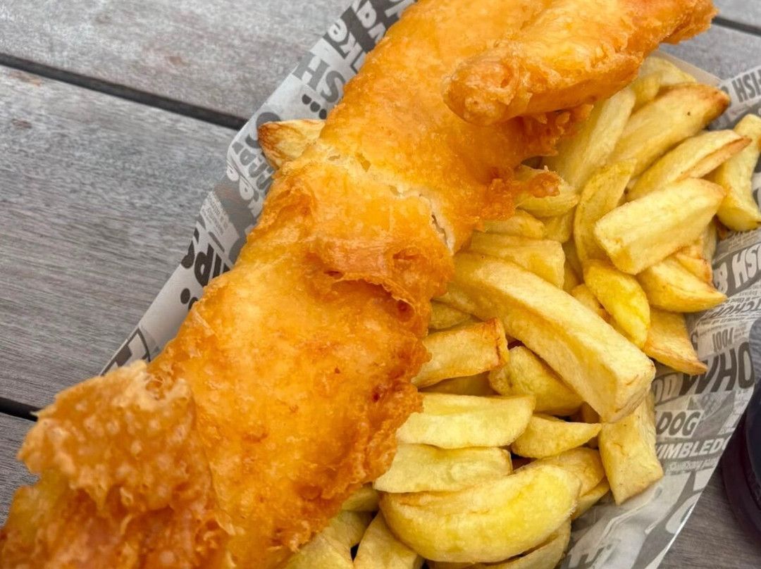 Wills Plaice North Walsham