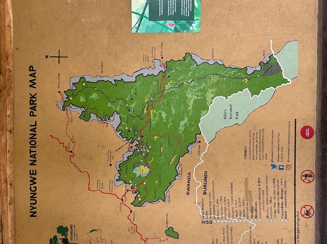 Nyungwe National Park - Rwanda-Western Province必去景点