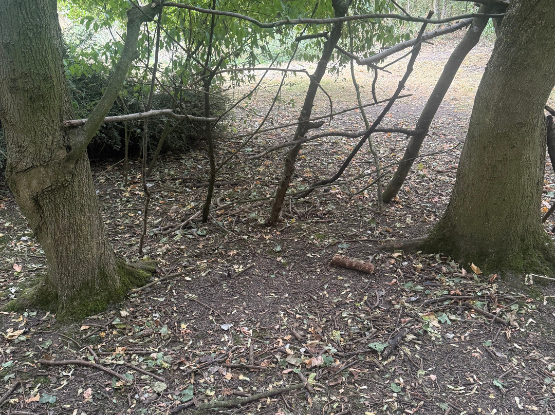 Manor Farm Woodland Walks-Wisbech必去景点