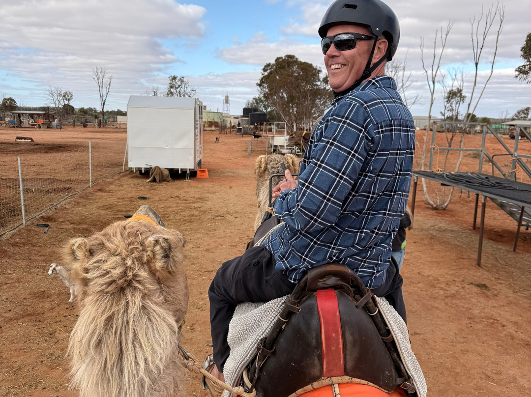 Silverton Outback Camels-Silverton必去景点