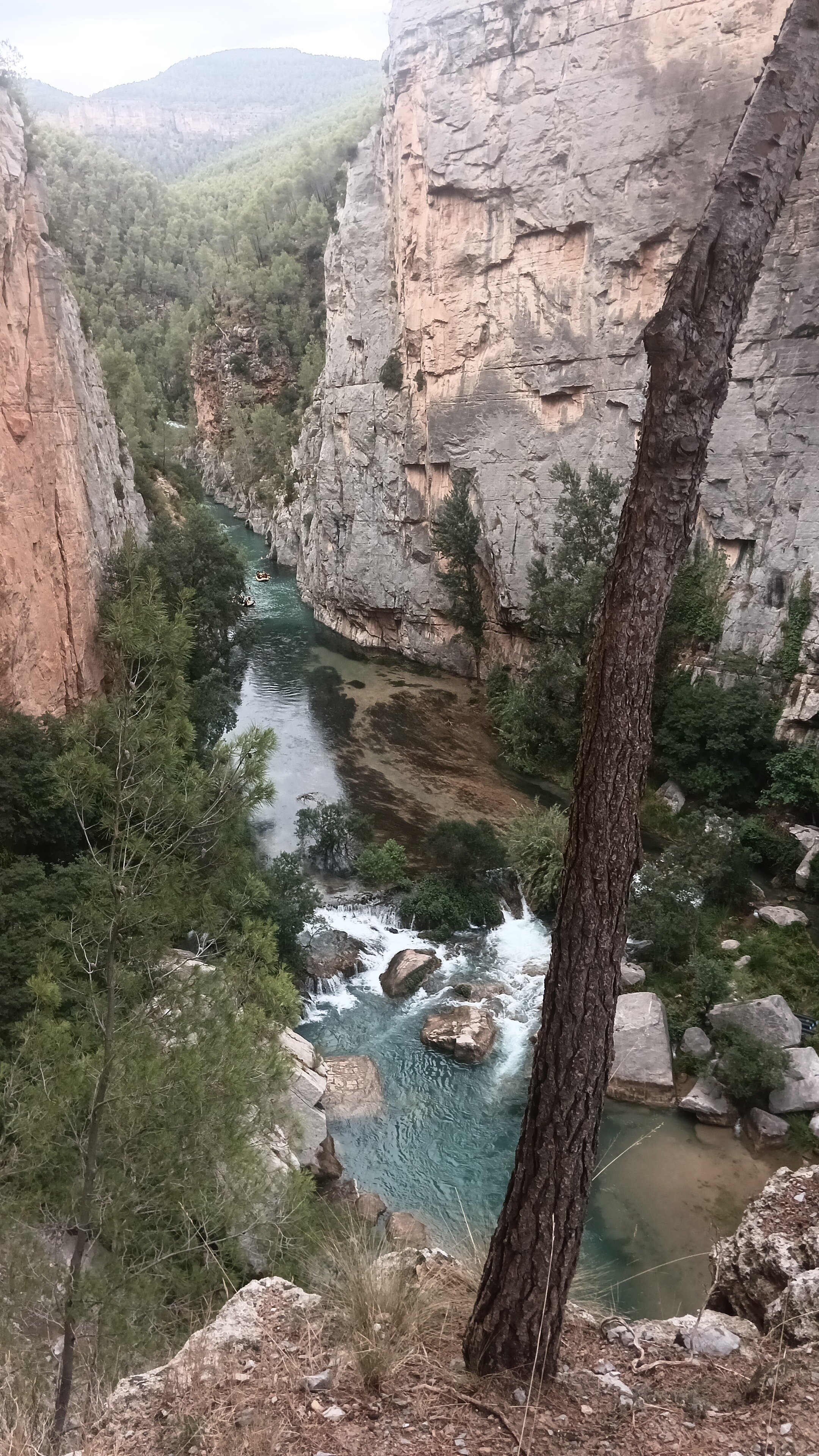 罗萨莱德唐瑟酒店-旅行者