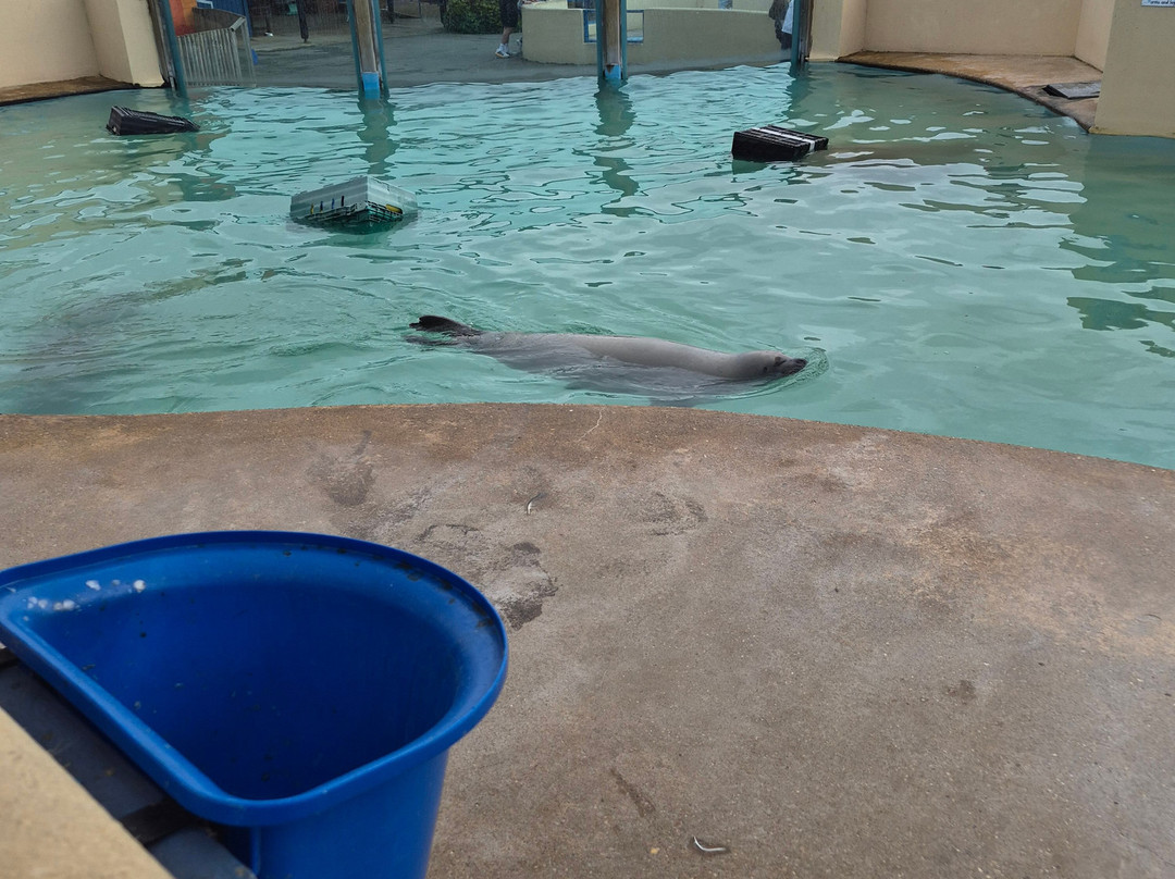 Natureland Seal Sanctuary-斯凯格内斯必去景点