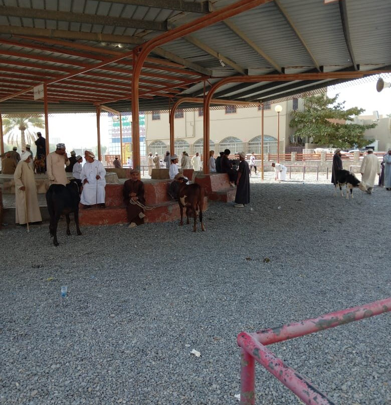 Nizwa Souq-尼日瓦必去景点