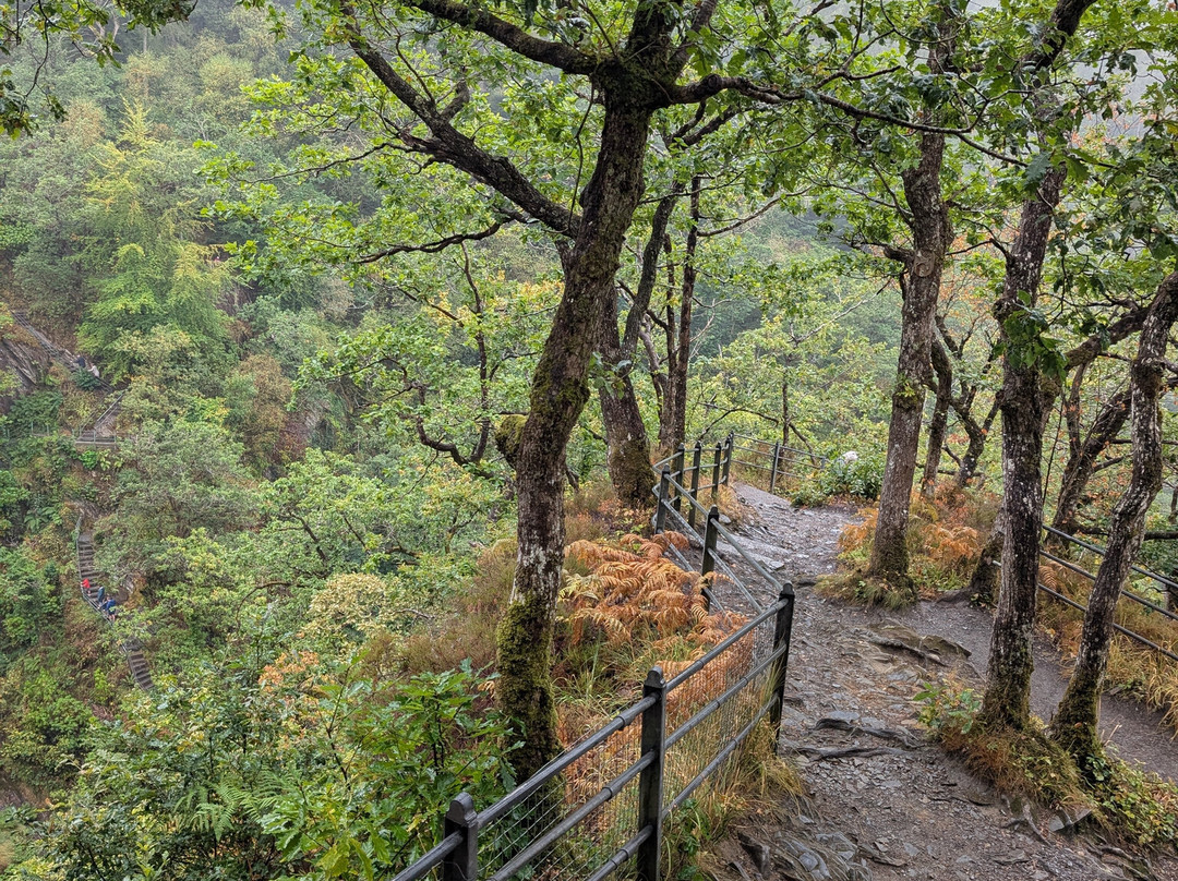 Devil's Bridge Waterfalls-Devil's Bridge (Pontarfynach)必去景点