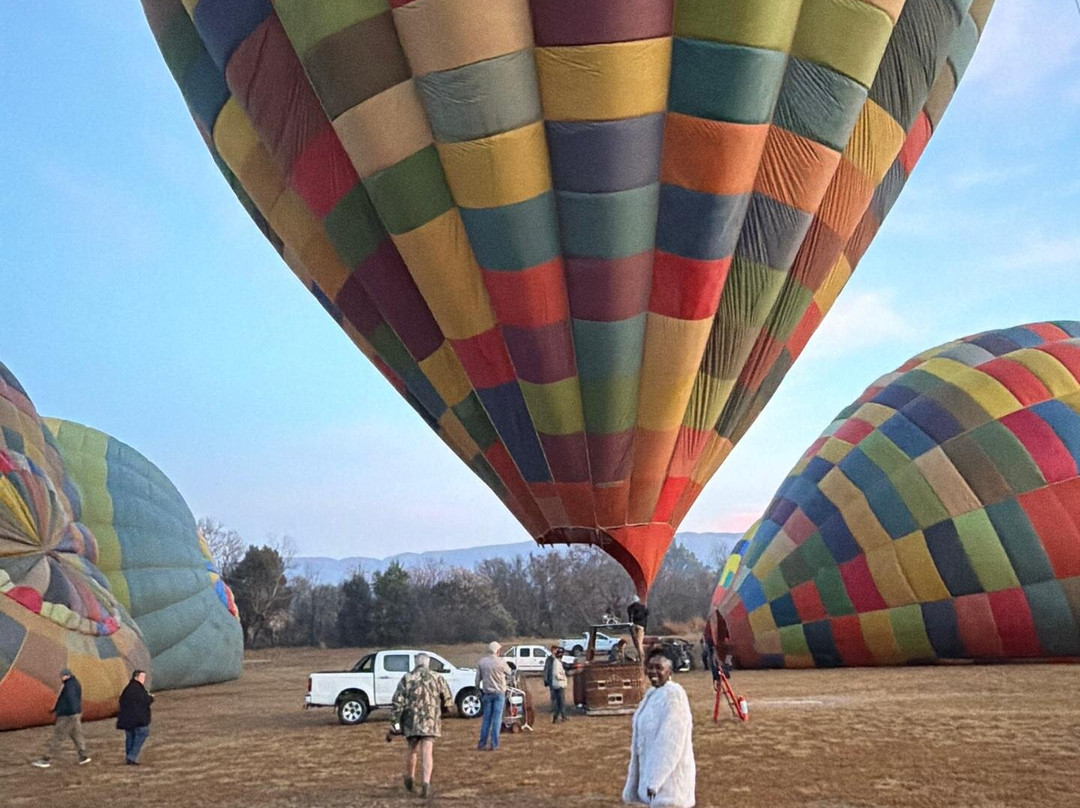 Wildside Tours and Safaris - Day Tours-约翰内斯堡必去景点
