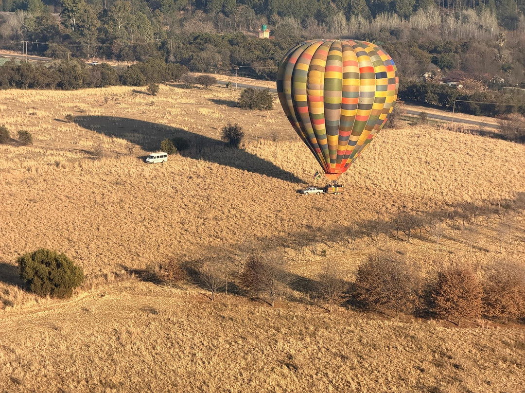 Wildside Tours and Safaris - Day Tours-约翰内斯堡必去景点