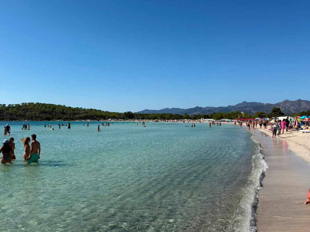 Cala Brandinchi-Capo Coda Cavallo必去景点
