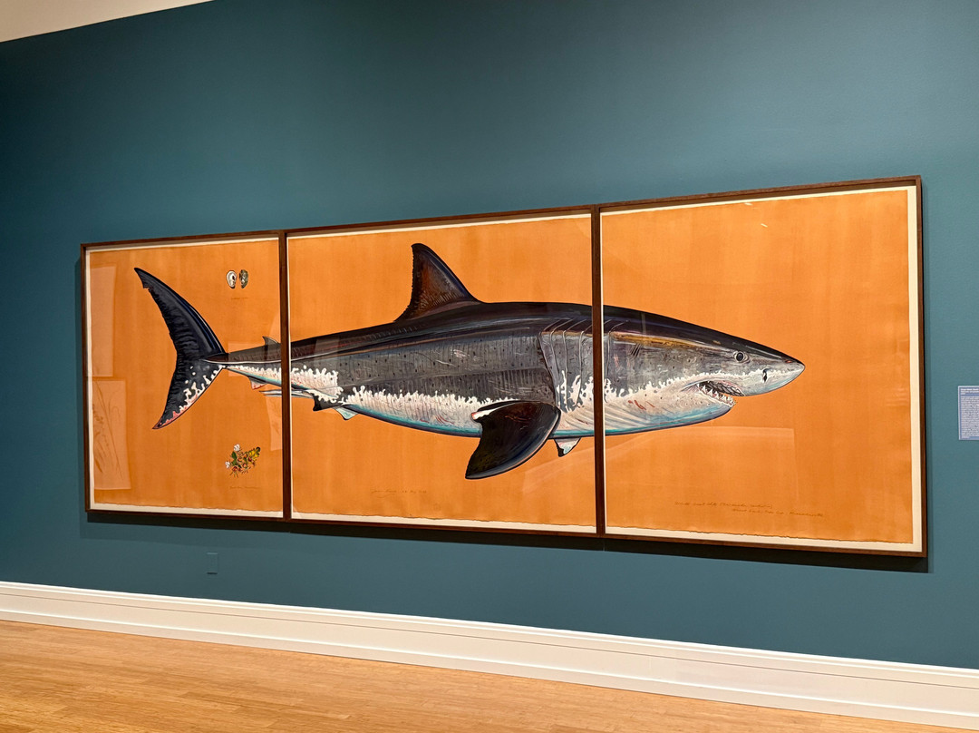 VBMA-Vero Beach Museum of Art-维罗海滩必去景点