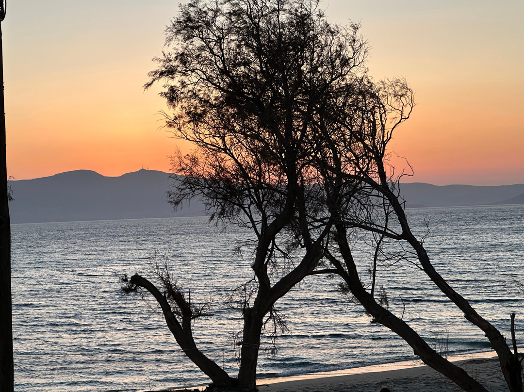Akti Kastraki Beach Restaurant