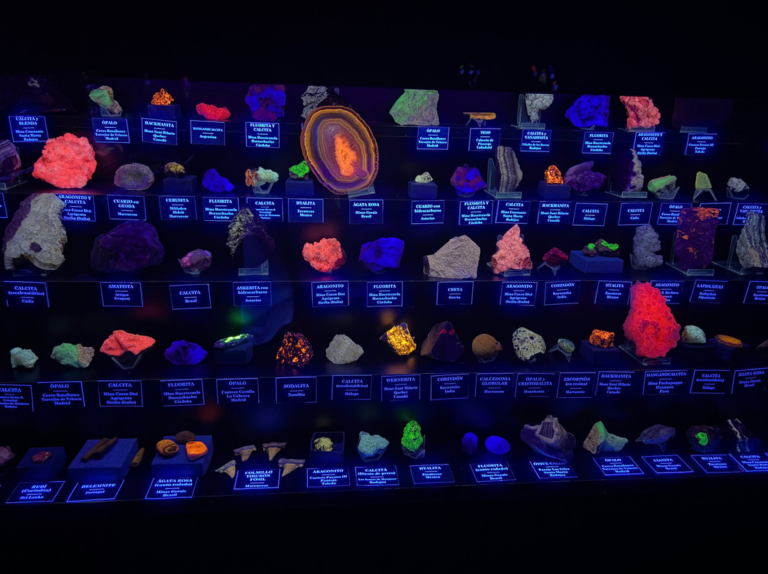 Museum of Luminescent Minerals and Painting Exhibition