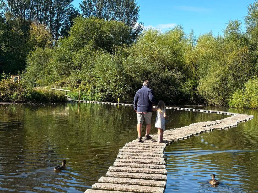WWT Martin Mere Wetland Centre-Burscough必去景点