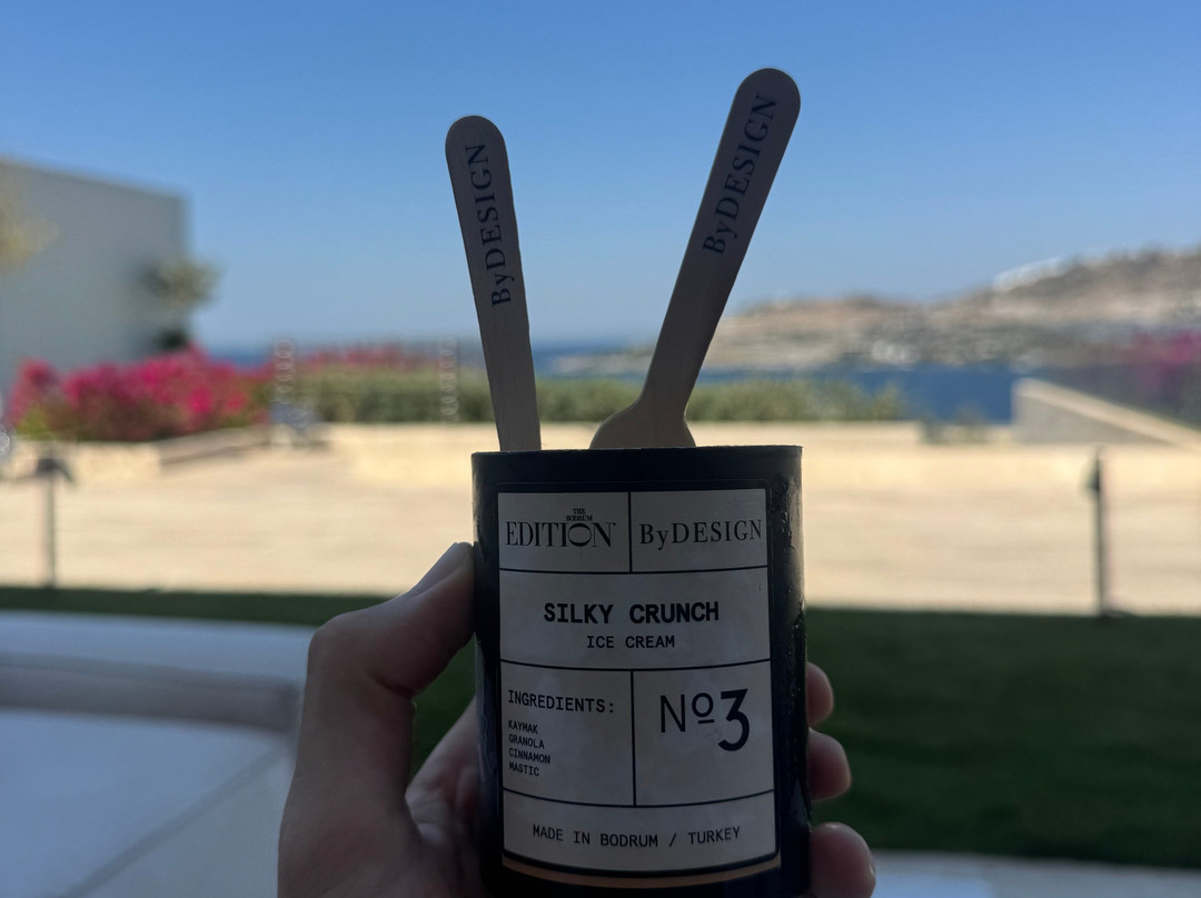 博德鲁姆艾迪逊酒店主图
