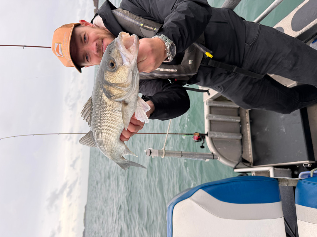 Awesome Fishing Wales-Dale必去景点