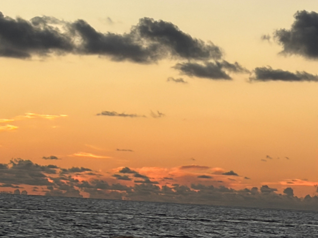 Pass-a-Grille Beach, Florida-圣彼得海滩必去景点