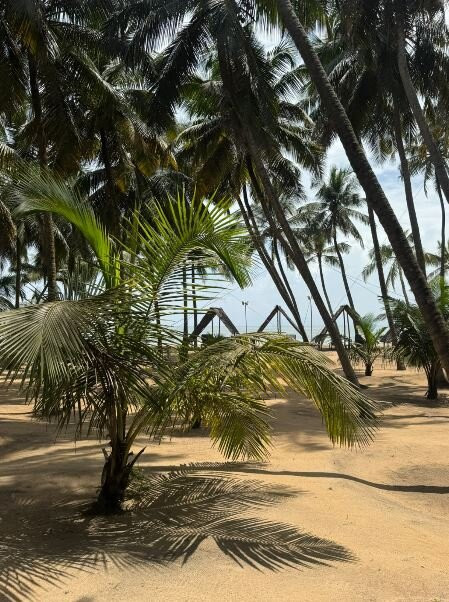 The Nattika Beach Resort主图