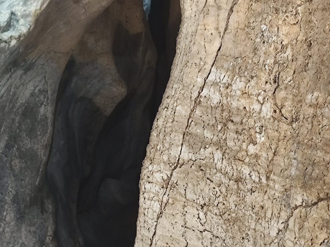 Grotta di Santa Croce-比谢列必去景点