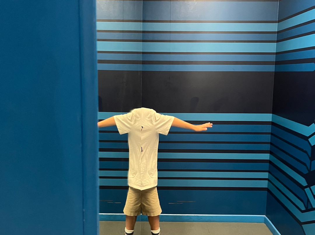 Museum of Illusions-底特律必去景点