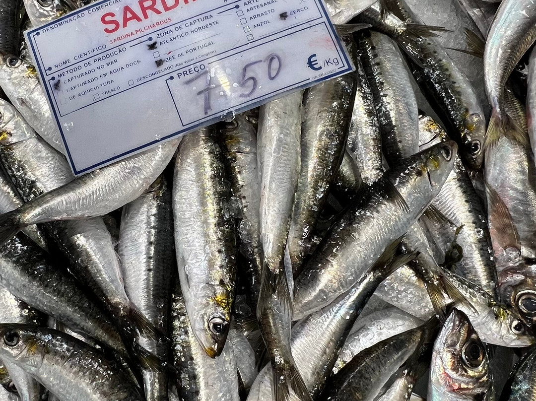 Mercado do Livramento-Setubal必去景点