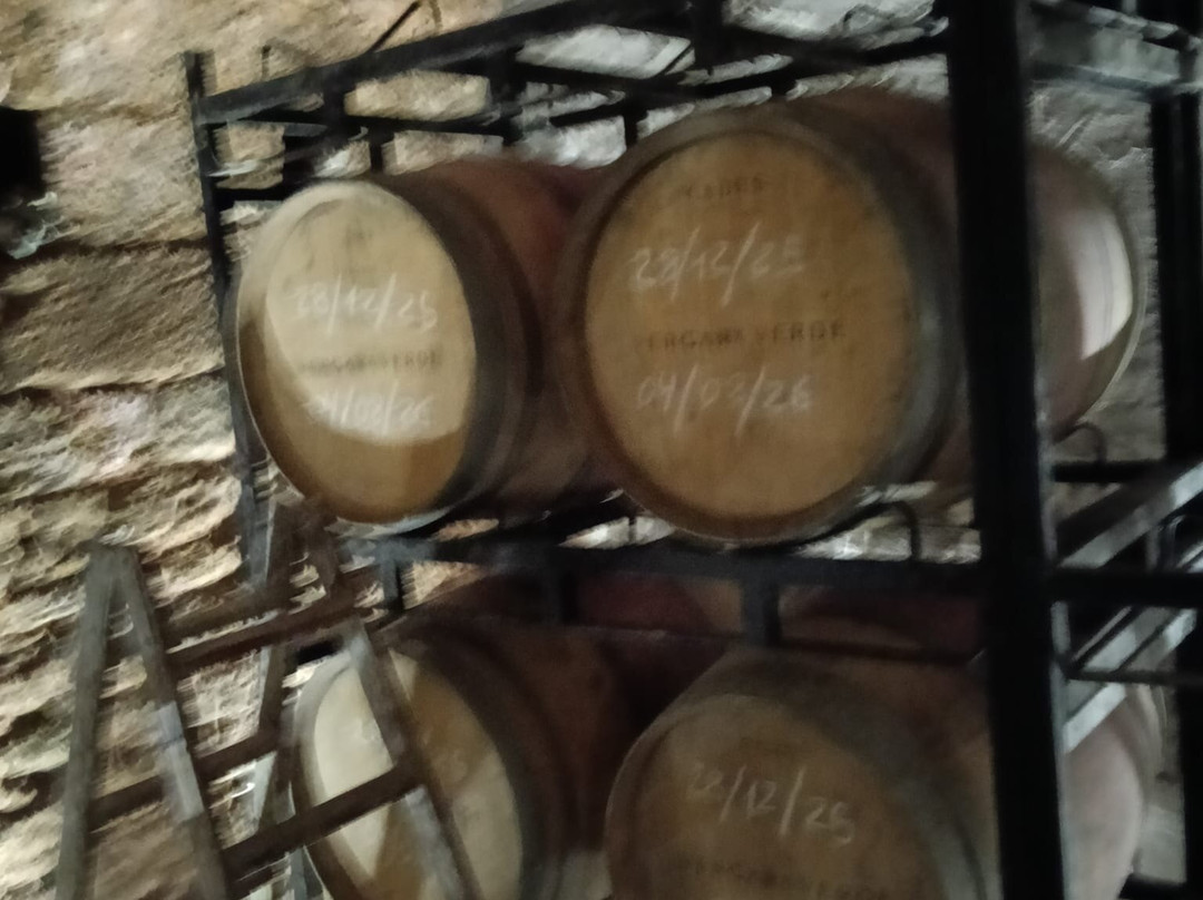 Bodegas Vergara Verde