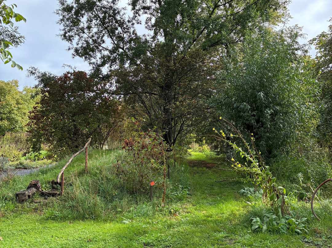 Botanical Garden Arboretum Oudenbosch-Oudenbosch必去景点