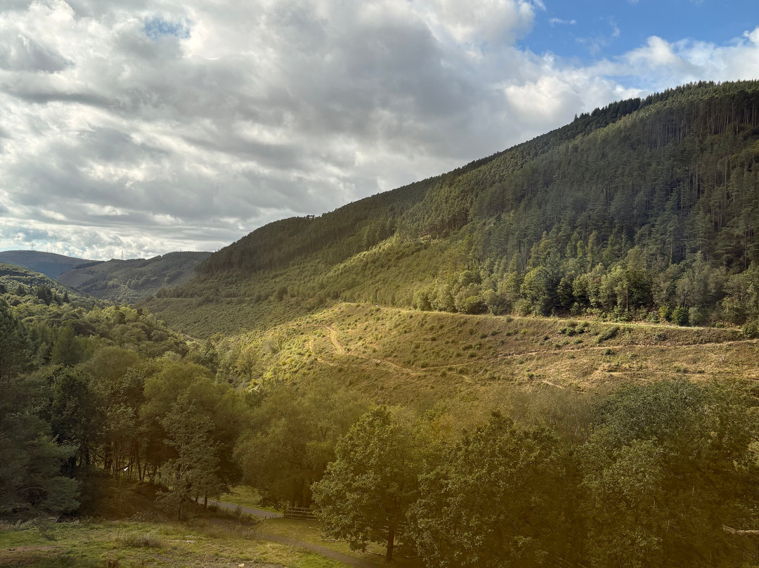 Afan Mountain Lodge主图