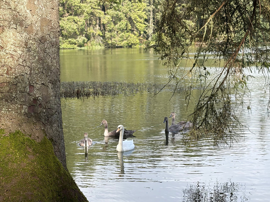 Beecraigs Country Park-林利斯戈必去景点