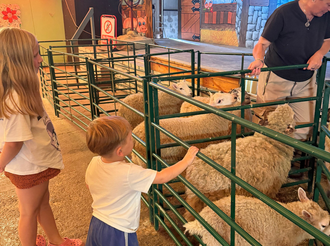 Cantref Adventure Farm and Riding Centre-布雷肯必去景点