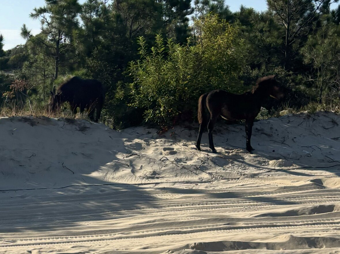 野马冒险之旅-卡罗拉必去景点