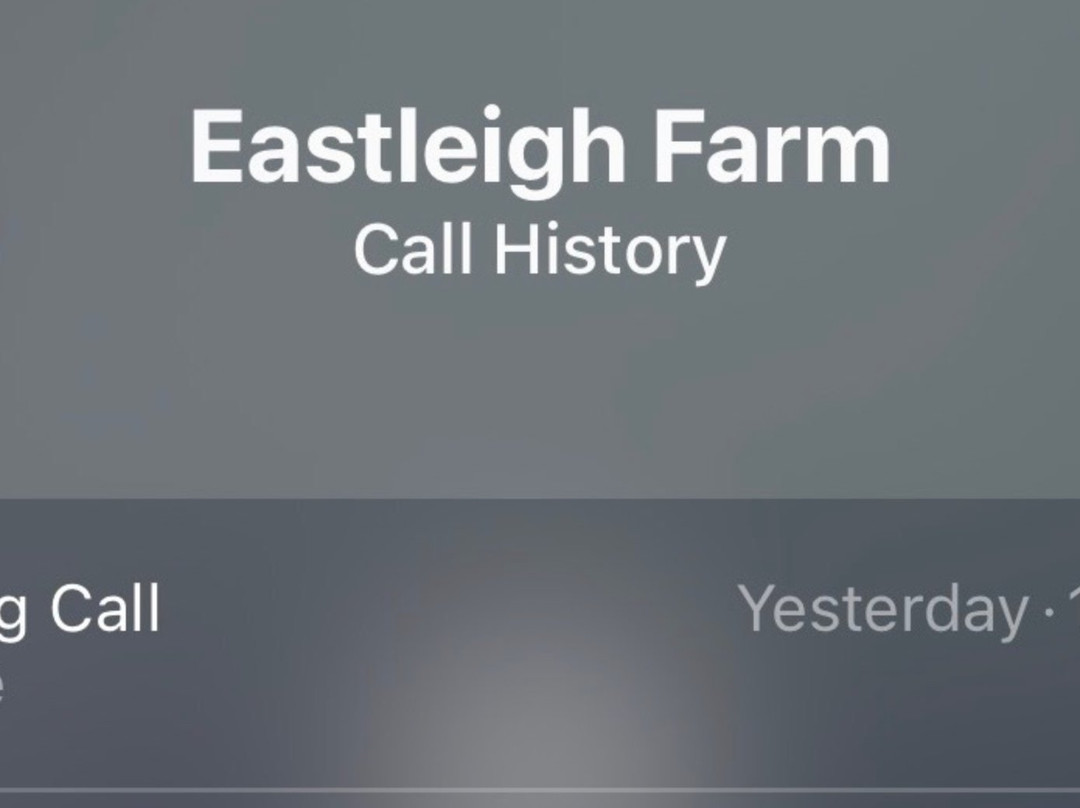 Eastleigh Farm-弗雷明汉必去景点