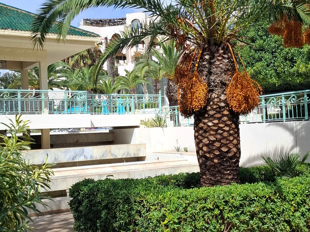 Nahrawess Resort & Thalasso主图