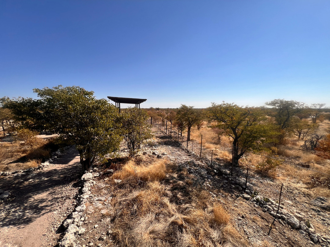 Etosha National Park
