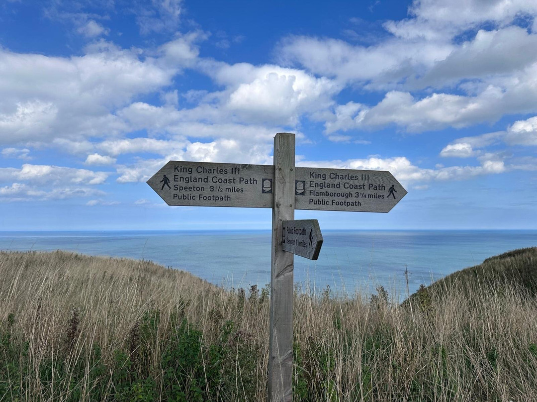 RSPB Bempton Cliffs-Bempton必去景点