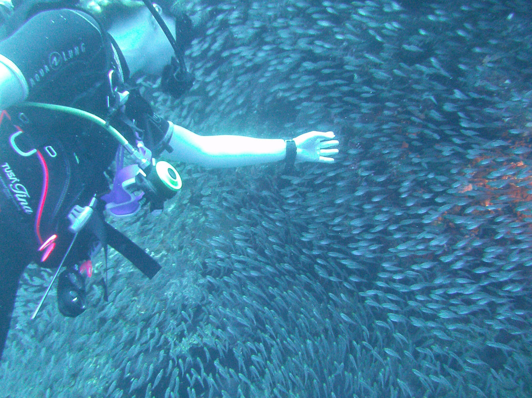 Black Rock Dive Centre-达哈卜必去景点