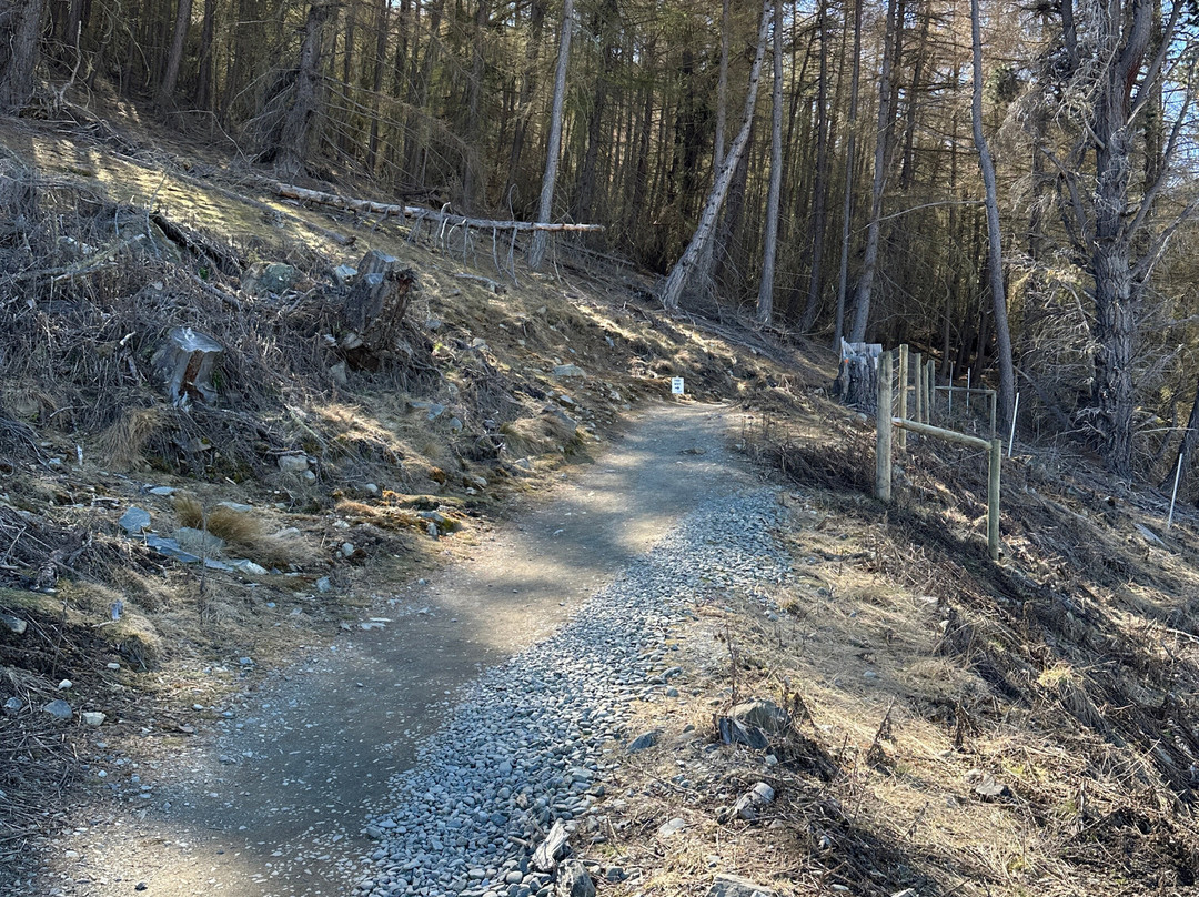 Mount John Summit Circuit Track-特卡波湖必去景点