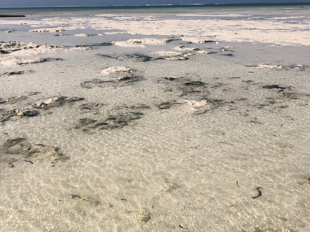 Dongwe Beach-多恩维必去景点