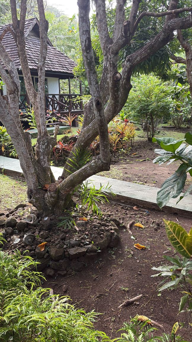 Pension Hibiscus Tahaa-旅行者