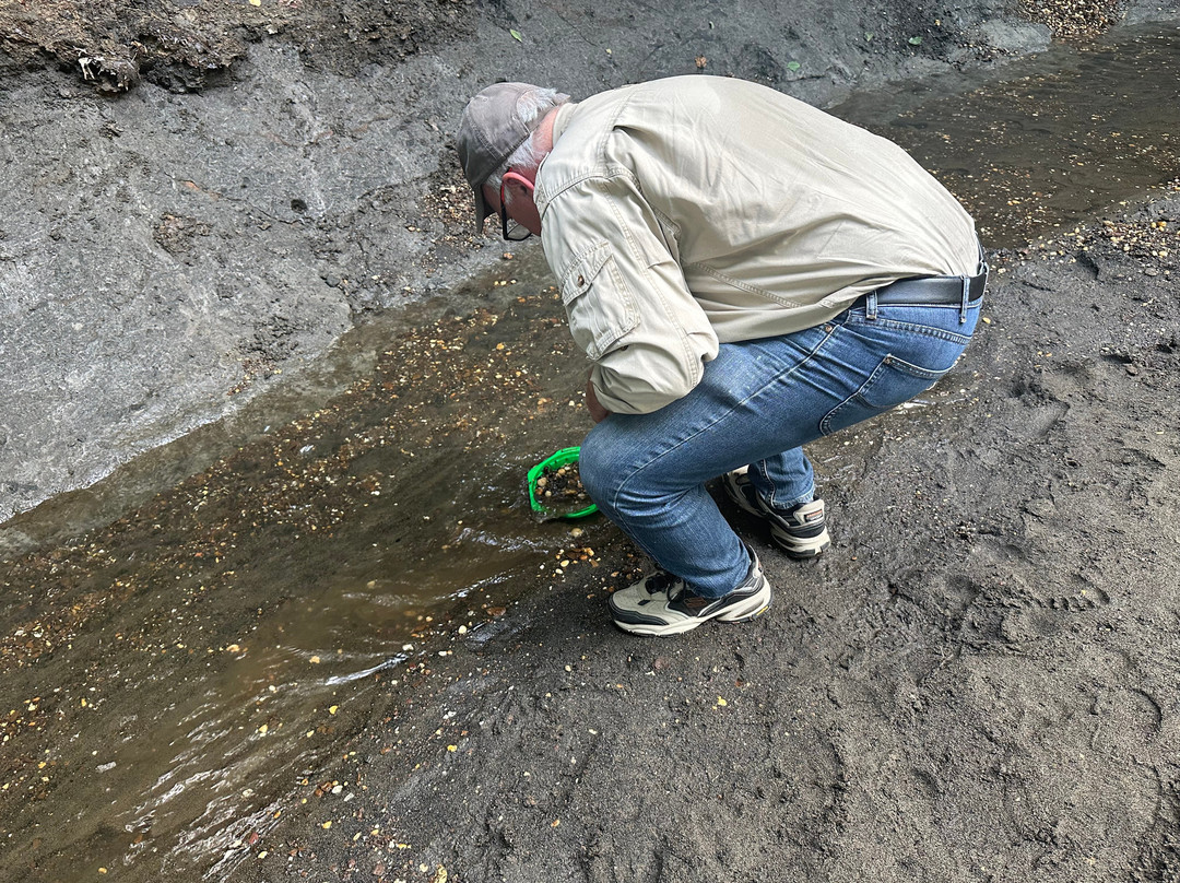Poricy Park Fossil Beds-Middletown必去景点