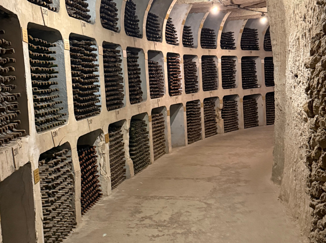 Mileștii Mici Winery-Milestii Mici必去景点